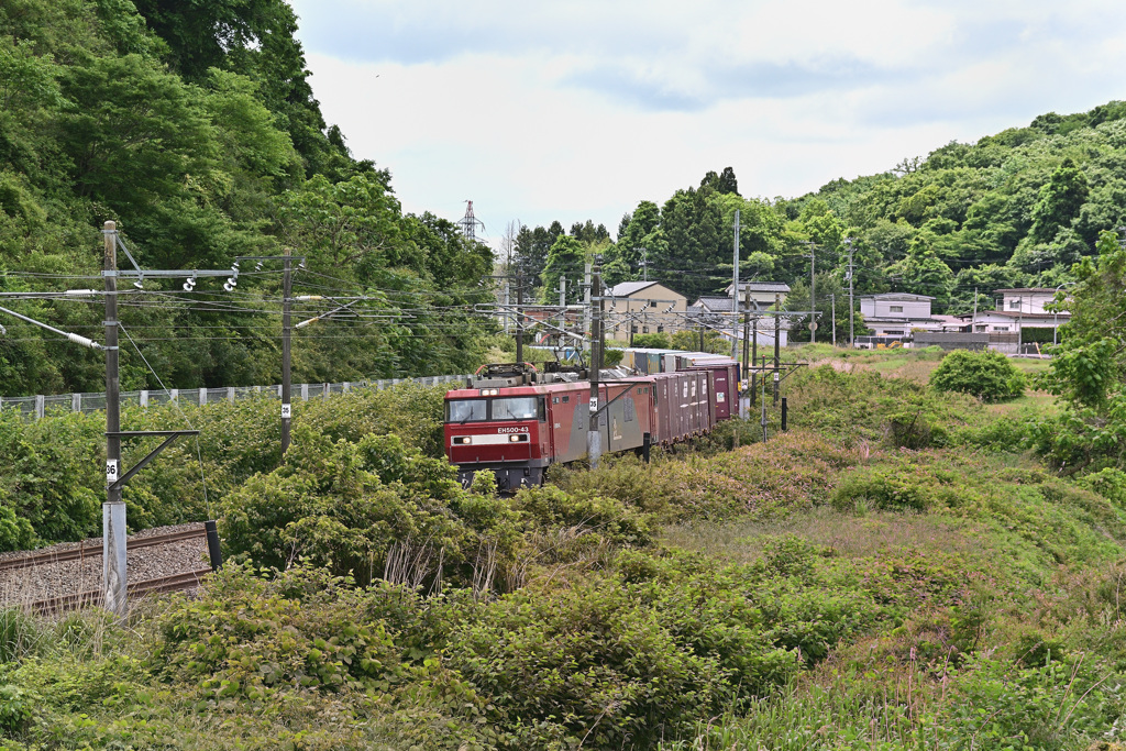荷物を持ってまっしぐら