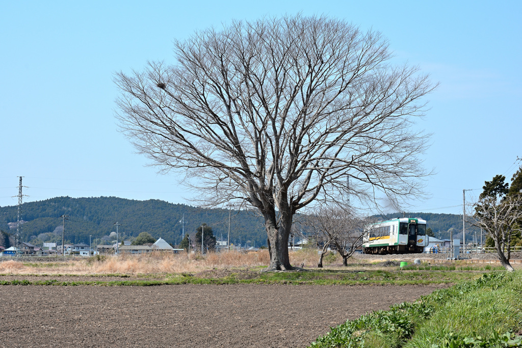 早春を行く