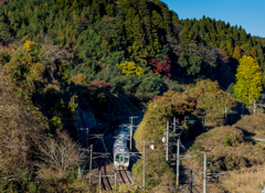 晩秋の陽光をうけて