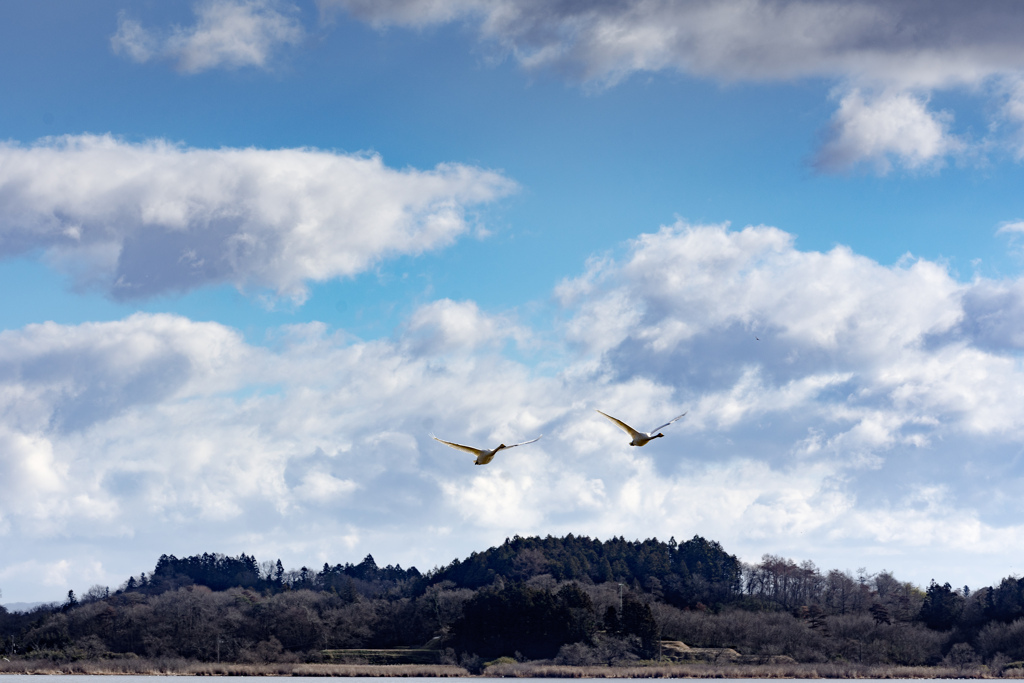 約束の地を目指して