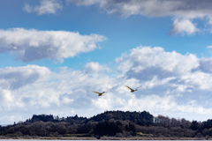 約束の地を目指して