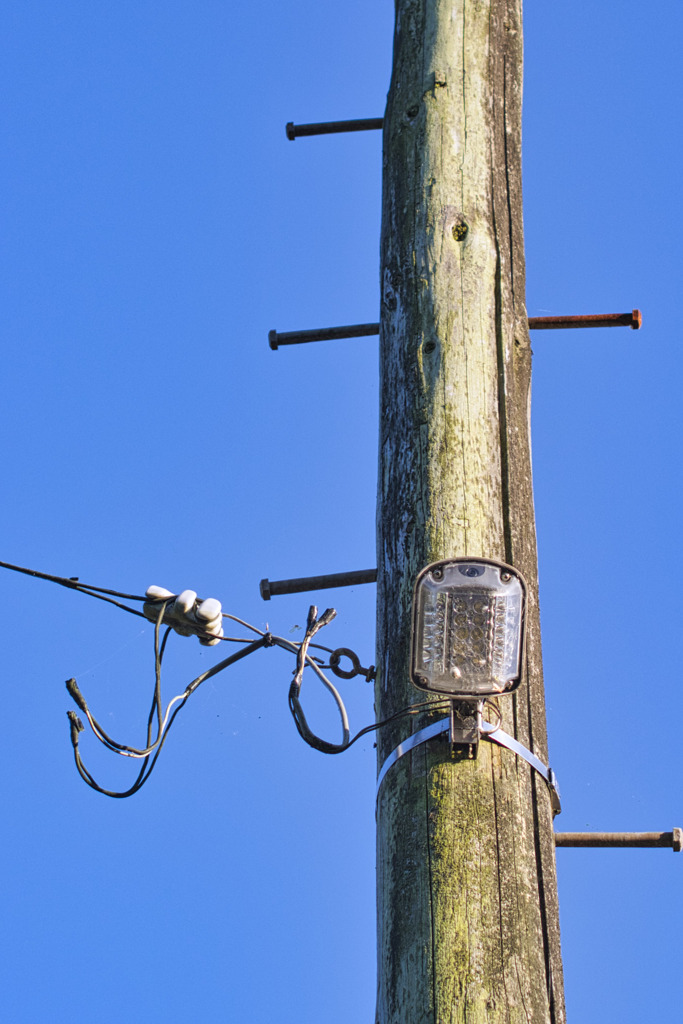 最新LED防犯灯と木製電柱