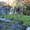 滝と川
