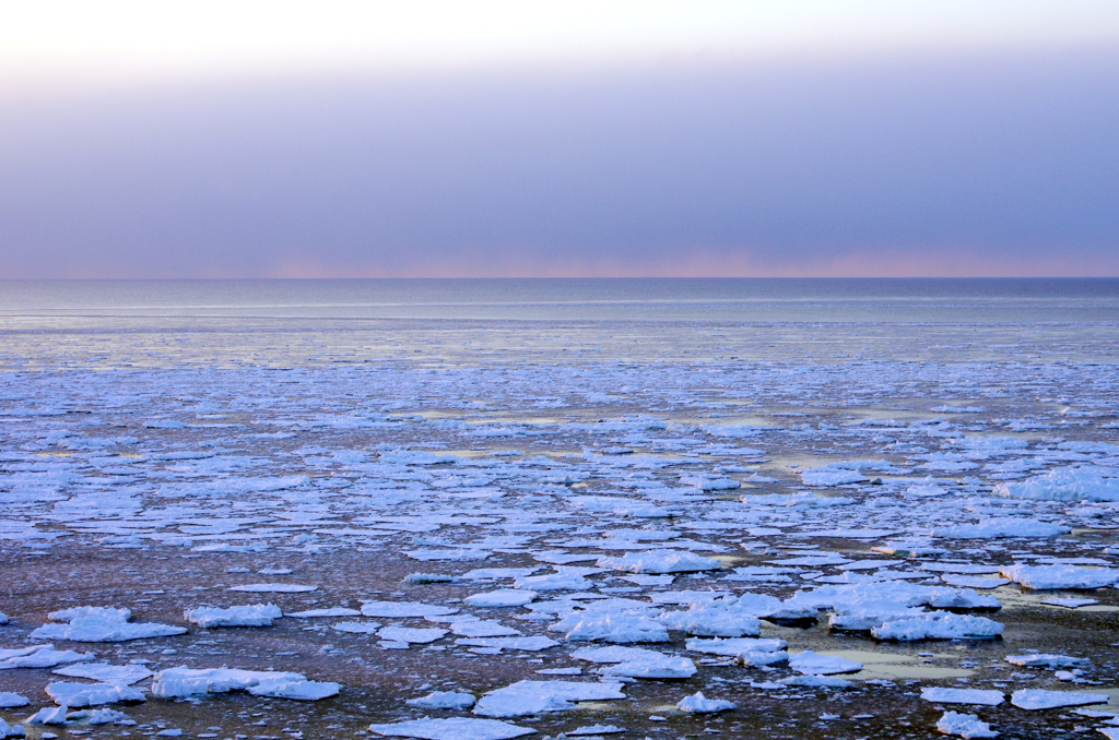 能取岬から見た流氷