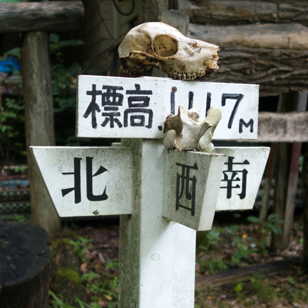 存在感ある標識