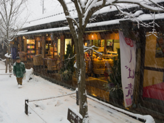 吹雪の京都