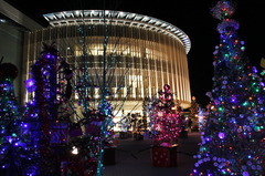 イルミネーション