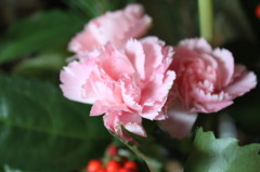 純正レンズの限界