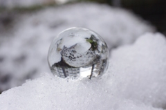 雪化粧