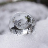 雪化粧