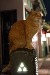 じっとしてて☆