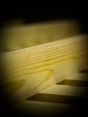 美丽的树（Beautiful Wood）