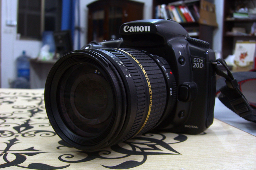 EOS20D + Tamron：AF 18-200mm f/3.5-6.3(Mo