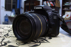 EOS20D + Tamron：AF 18-200mm f/3.5-6.3(Mo