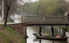 タニシ狩り。やはりねぇ～