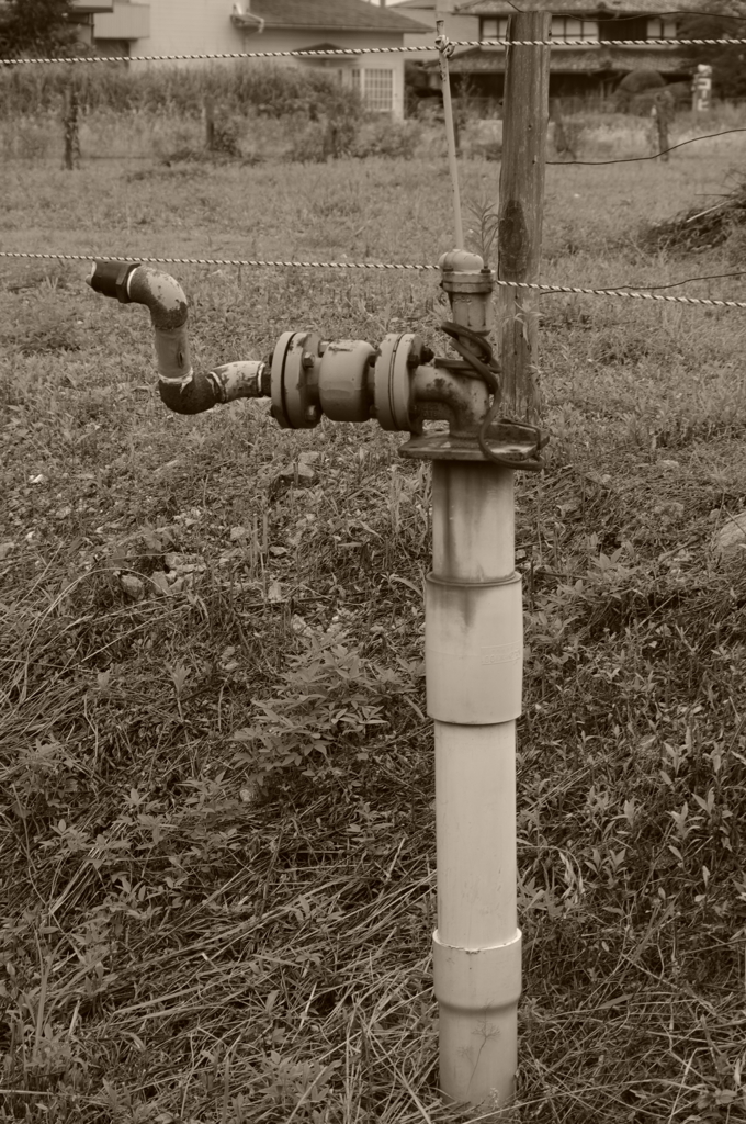 空き地の水道管