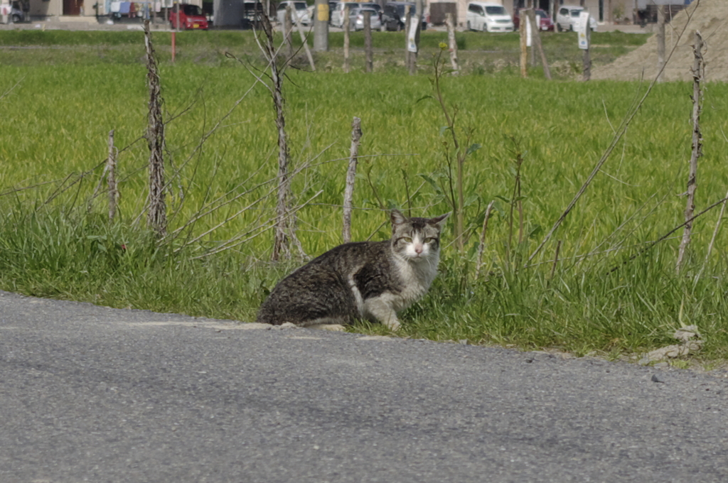 狩りの前