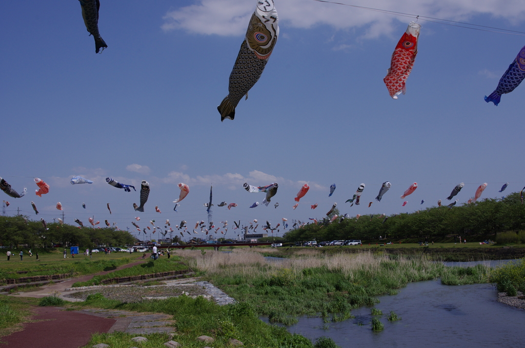 空の遊泳