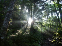 遭遇