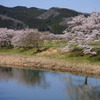 桜のある風景