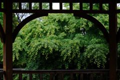 雨上がり