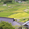 棚田のある風景