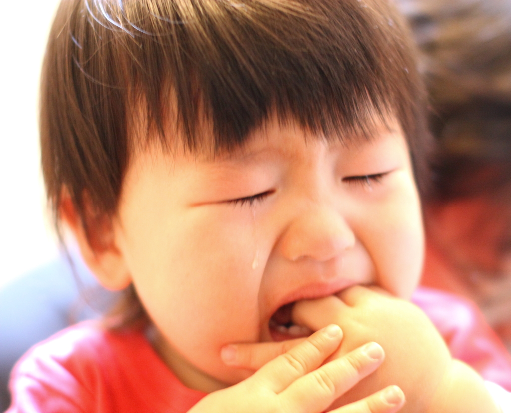 そんなに泣かないで・・・