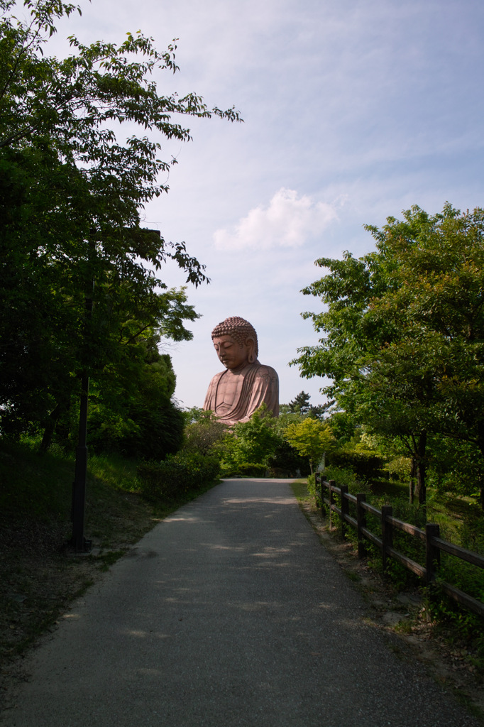 大仏へ