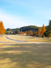 倶楽部の紅葉