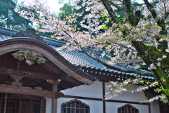 午後の中華風寺院