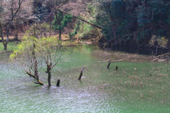 いつもの休憩場所