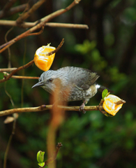 ﾏｲｸﾛ4／３試写～♪♪　