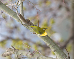 垂直から左回転