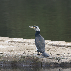う　ﾂ　～～　怖い