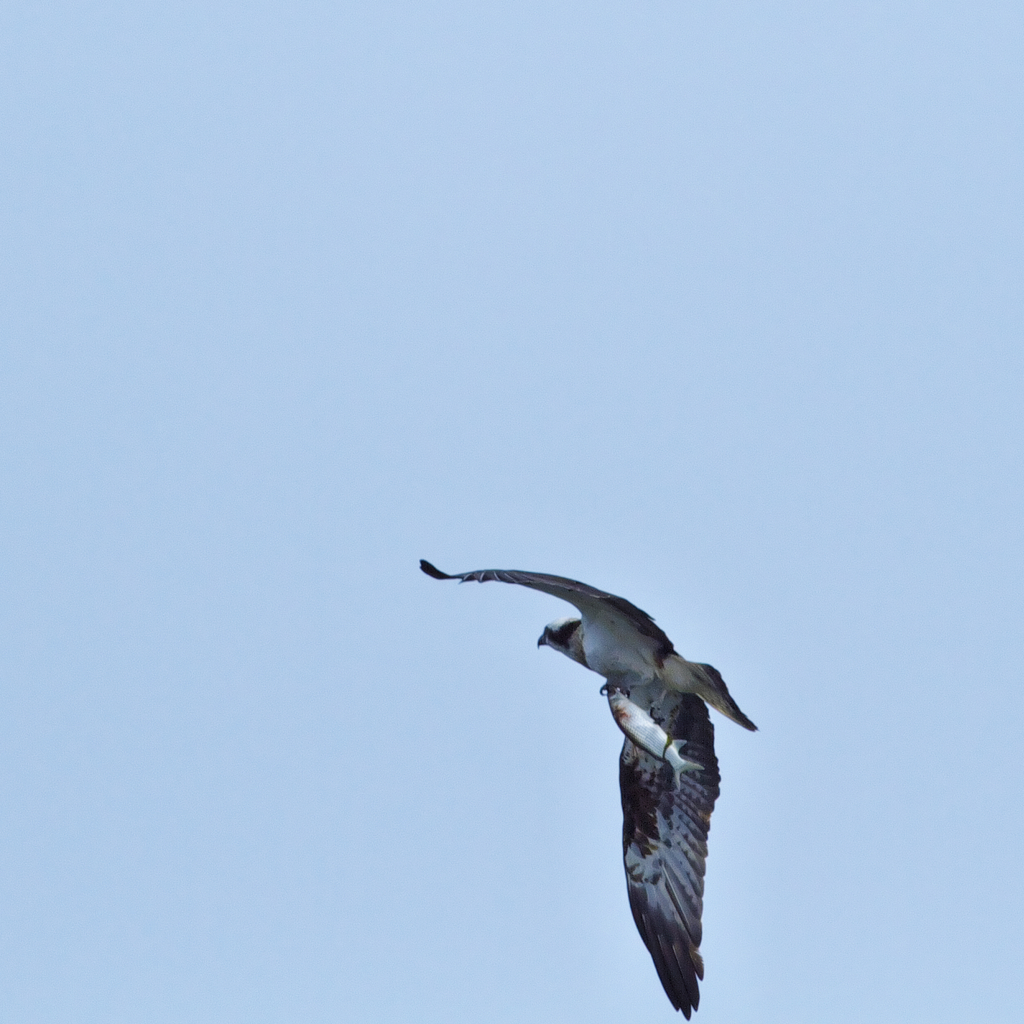 まあ～～証拠写真ということで　笑