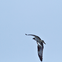 まあ～～証拠写真ということで　笑