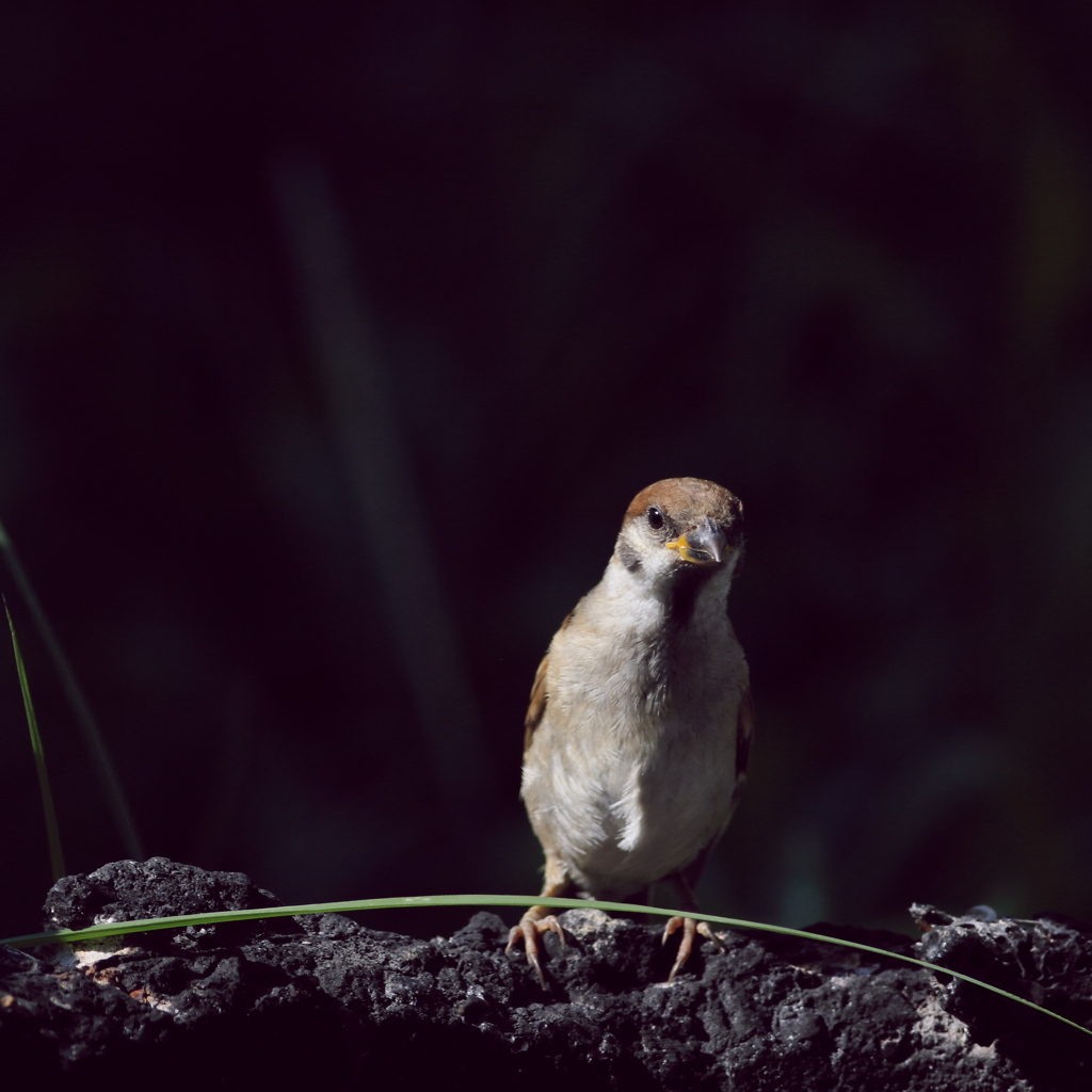 ガラス越し～～♪♪