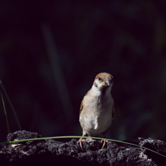 ガラス越し～～♪♪