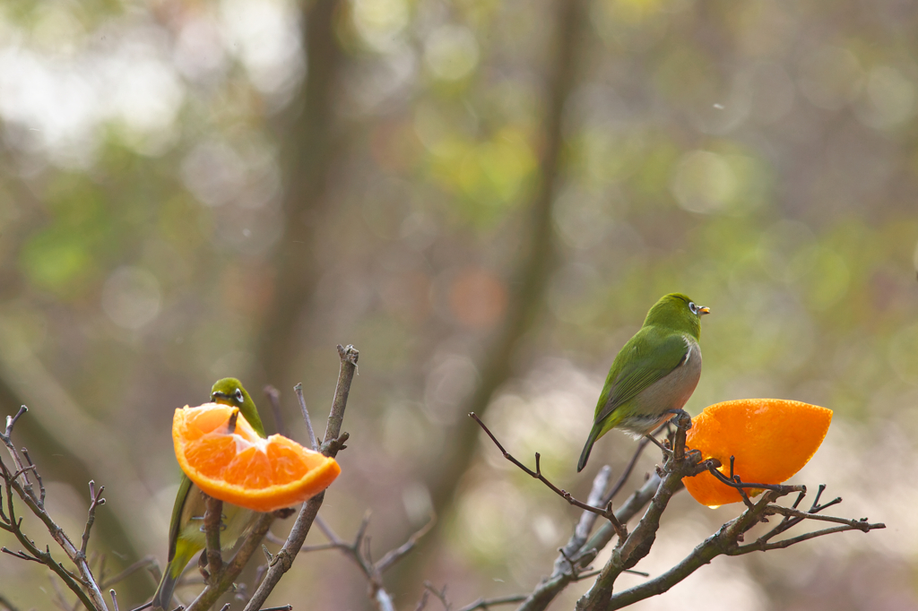 サ－ビス満点♪
