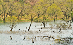いつもの休憩場所Ⅱ