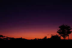 夕暮れ