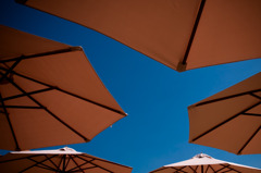 Parasol