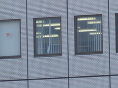 デジタルフルズームでも・・