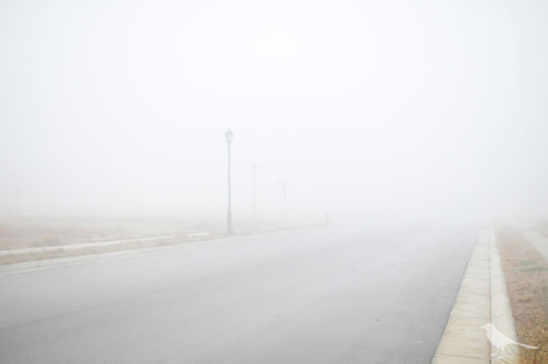 foggy_outside