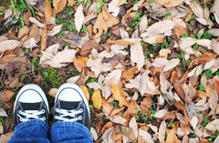 fall_converse