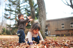 leaves_playing