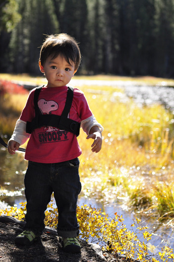 kai-pond