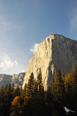 elcapitan