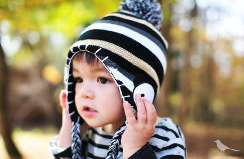 panda-hat