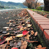 ochiba-ground